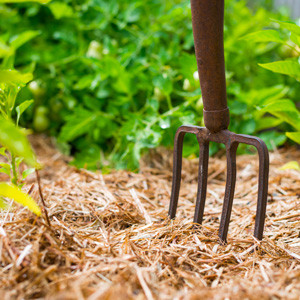 Protect (mulch)